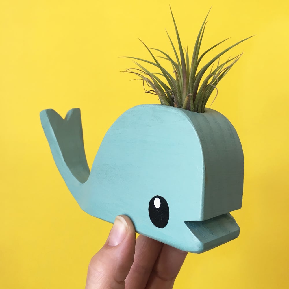 Tiny Wooden Whale With Airplant - Walnut, Turqoise or Orange