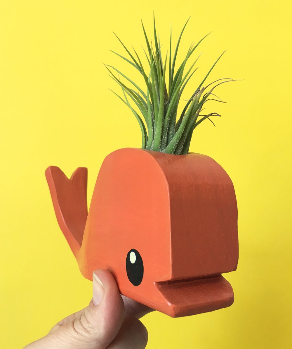 Tiny Wooden Whale With Airplant - Walnut, Turqoise or Orange