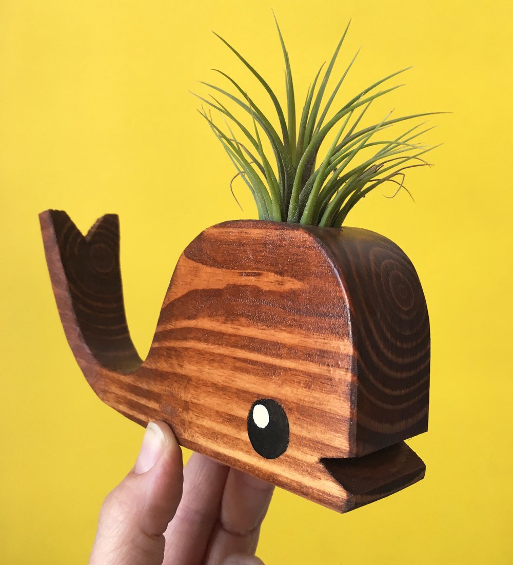 Tiny Wooden Whale With Airplant - Walnut, Turqoise or Orange