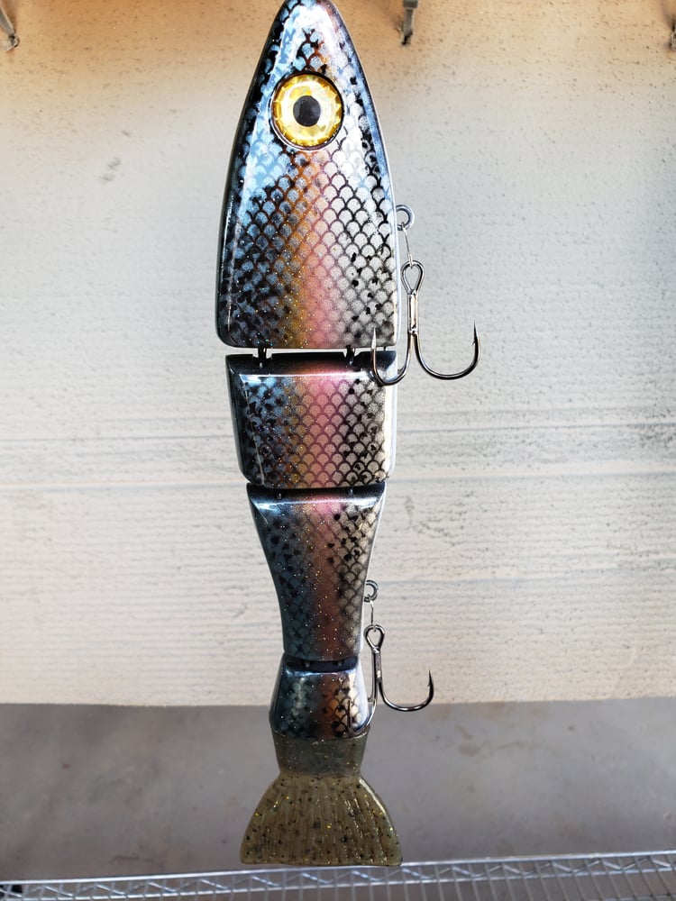 Image of 12 inch FLOATING cut tail. tourquios scale trout.
