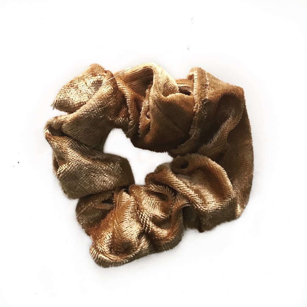 Image of Viola (AVAILABLE SOON)