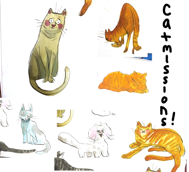 Image of Catmissions