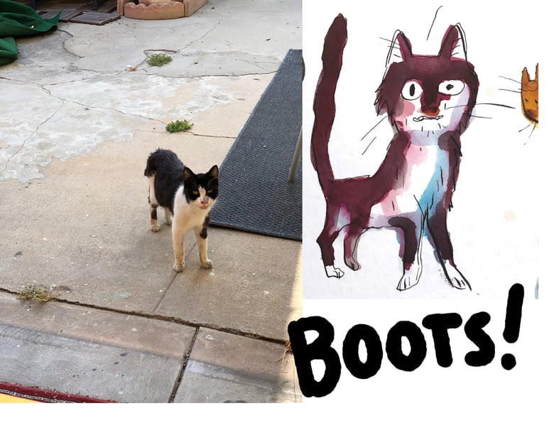 Image of About Boots