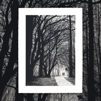 Image 1 of Ashes to Ashes