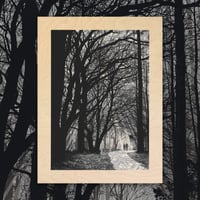 Image 1 of Ashes to Ashes - WOOD PANEL - 1 left