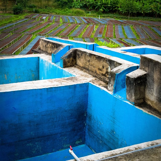 Image of Rwanda Kinini Village washed process