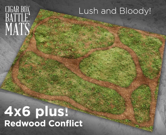 Image of Redwood Conflict -- 4x6plus -- #650