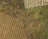 Image 2 of NEW Europe 2 Just Fields -- 4x6plus -- #680