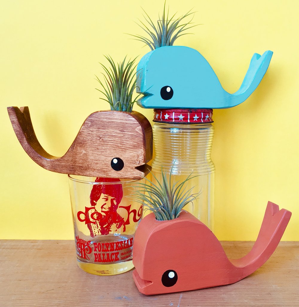 Tiny Wooden Whale With Airplant - Walnut, Turqoise or Orange 