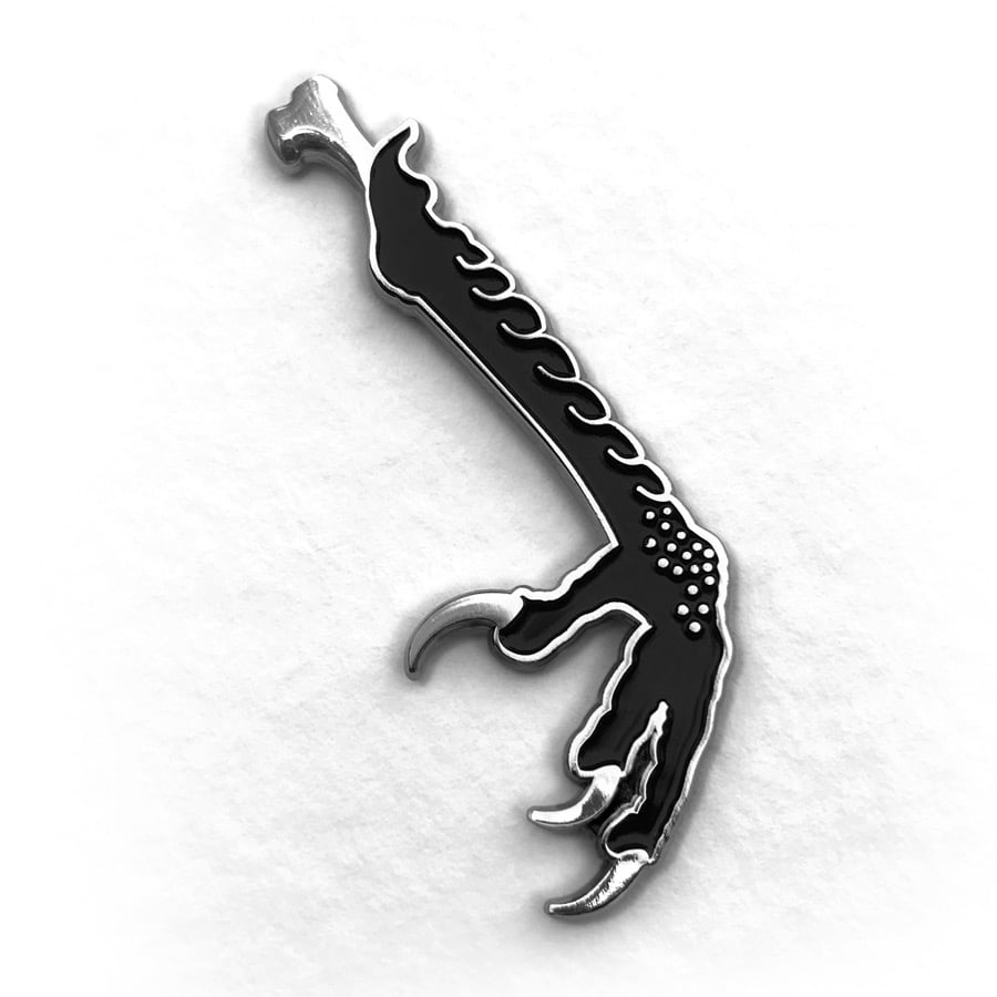 Image of Crow Claw Pin