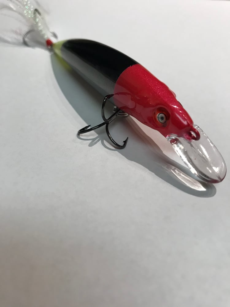 Image of New! Emerald minnow