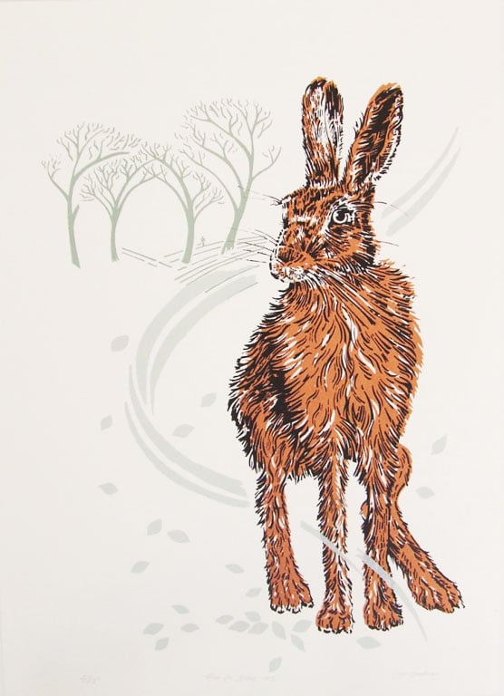 Image of Then he saw us - Suffolk hare
