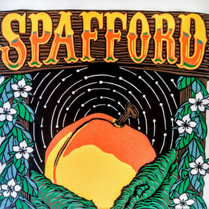 Spafford The Peach Music Festival Print July 19-22 2018