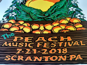 Spafford The Peach Music Festival Print July 19-22 2018