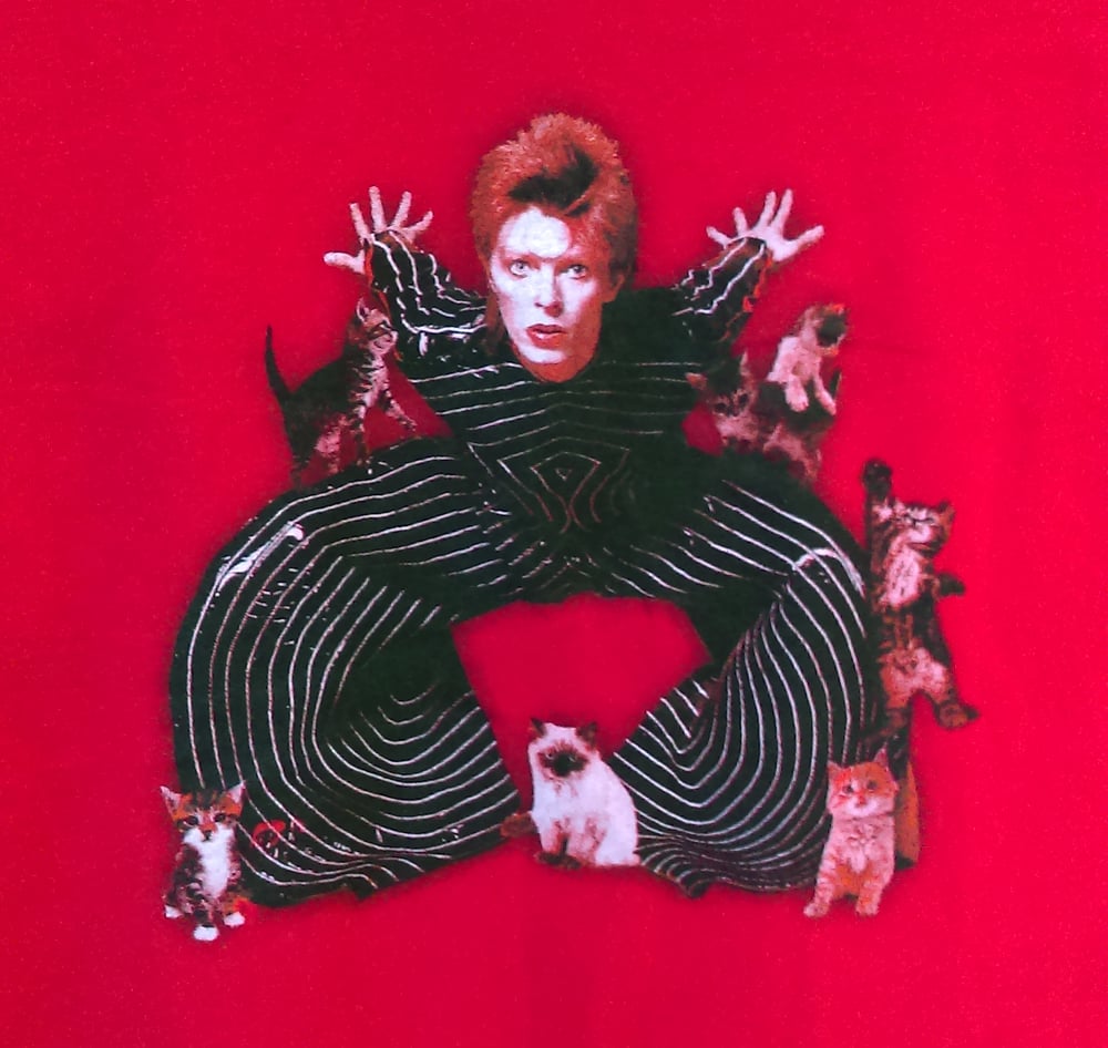 Image of David Bowie: Rebel Rebel XIV - Unisex