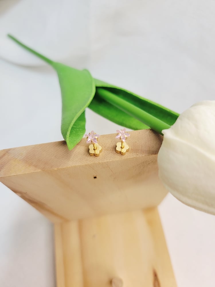 Image of Stud Earrings 