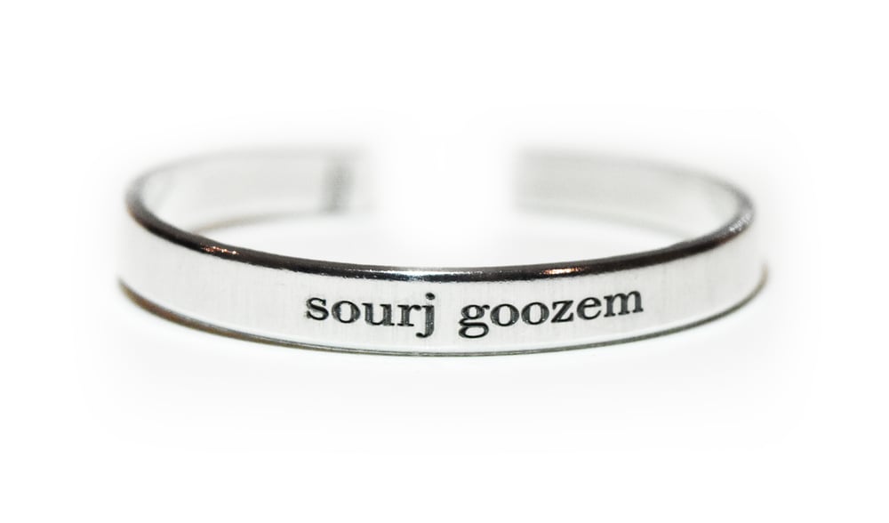 Image of sourj goozem