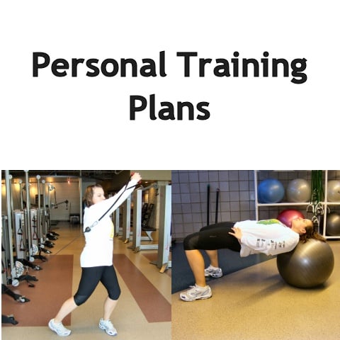 Image of Personal Training with Meal Planning/Holistic Consultations