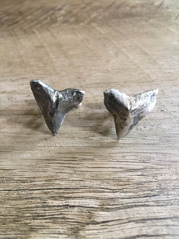 Image of Shark Tooth Cufflinks