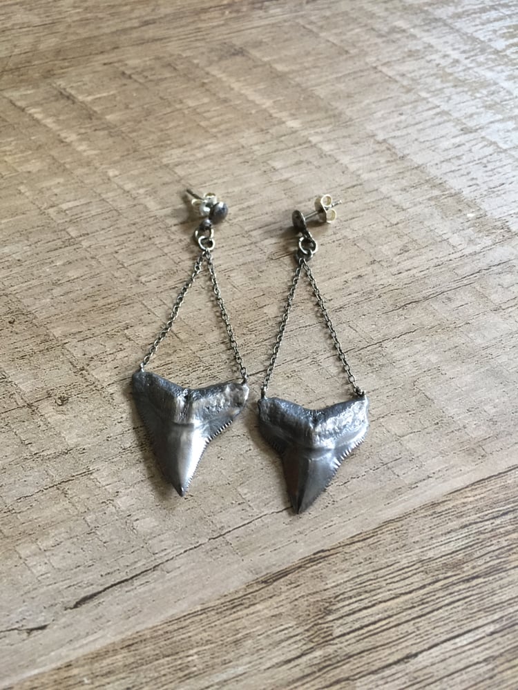 Image of Shark Tooth Earrings