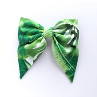 Image 3 of Tropical