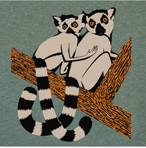 Image of Lemurs T-Shirt | Unisex XXL