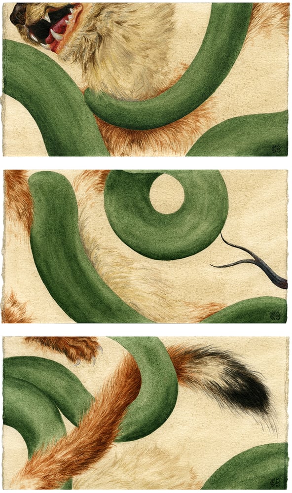 Image of The Weasel and Snake - Triptych (Limited Edition)