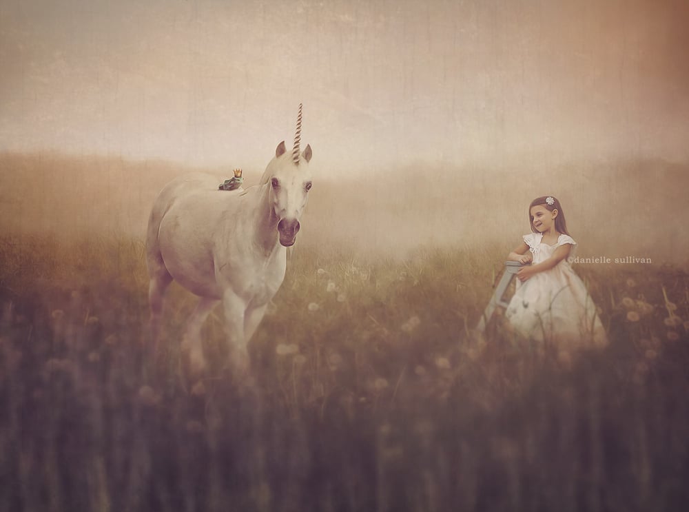Unicorn And Moon Digital Background Shoot For The Moon Images