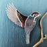 Flying Sparrow Brooch Image 2
