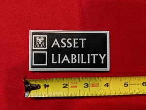 Image of ASSET v LIABILITY Patch - PVC