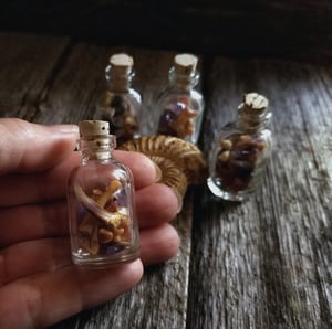 Image of Stones and Bones Vial