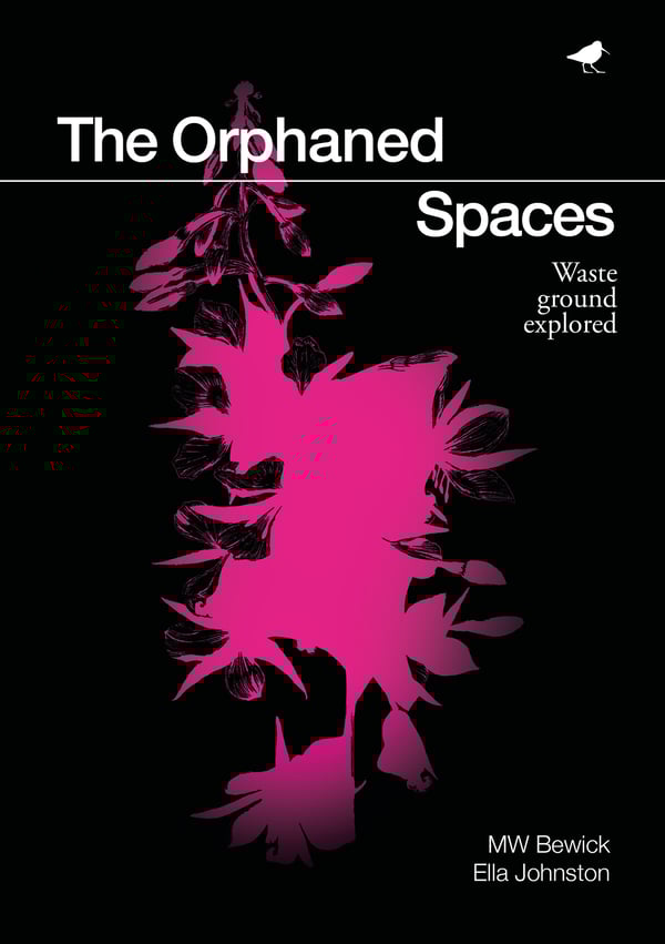 Image of The Orphaned Spaces, MW Bewick and Ella Johnston