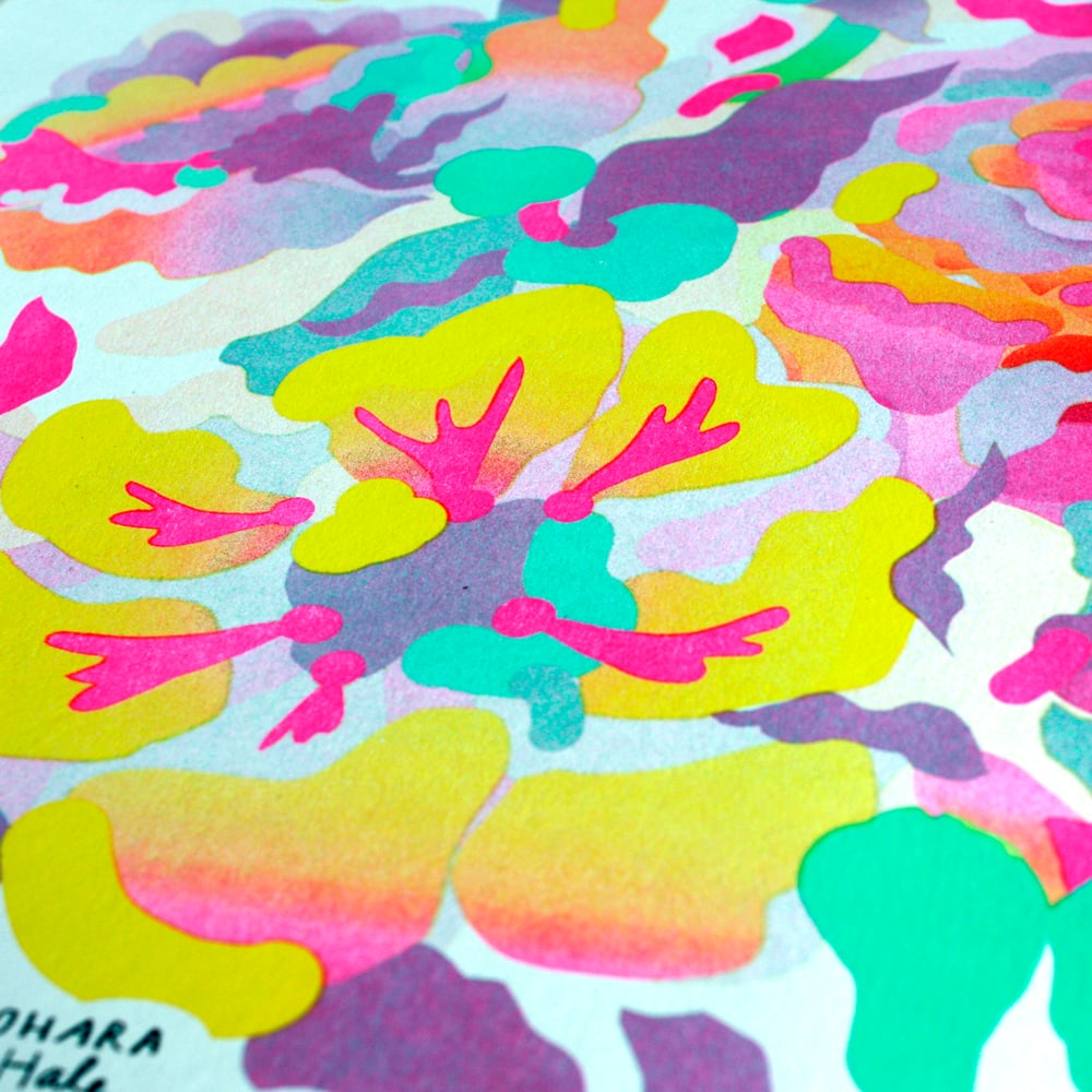 Ohara Hale | Colour Code Printing