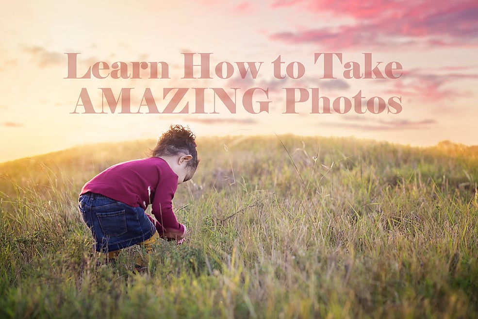 Image of Beginner Photography workshop