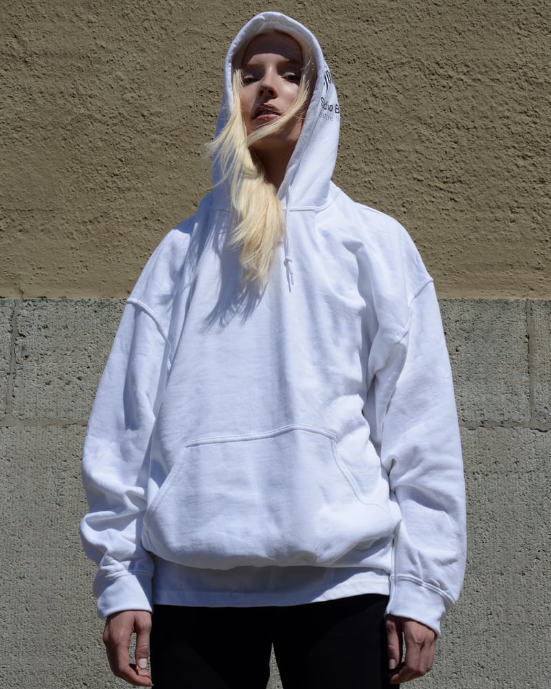 haessig — hässig x studio bureau hoodie