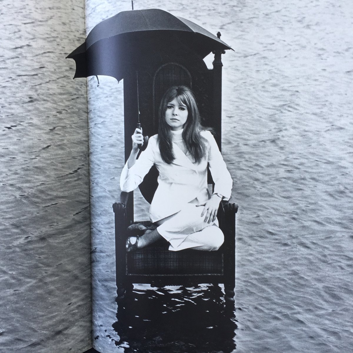 MODEST) BOOKS — (John D Green)(ジョン•D•グリーン)(Birds of