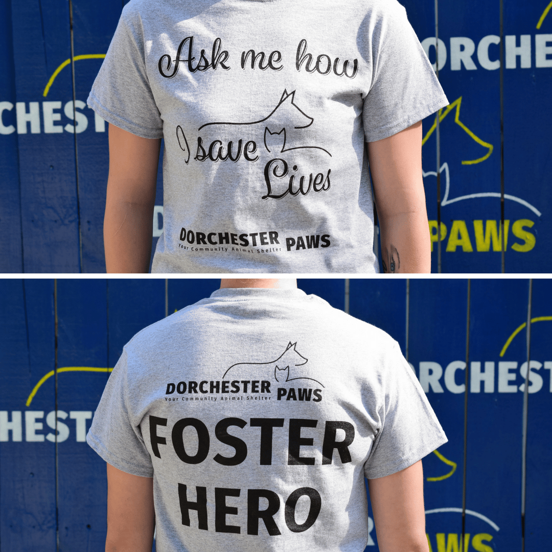 Foster Hero T-Shirt | Dorchester Paws