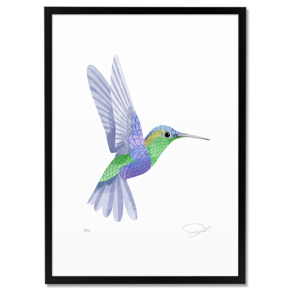 Print: Hummingbird II