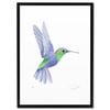 Print: Hummingbird II
