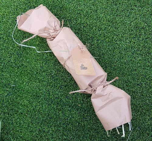 Image of Celebration Cracker