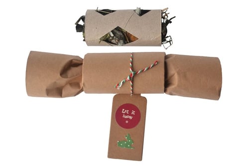 Image of Celebration Cracker