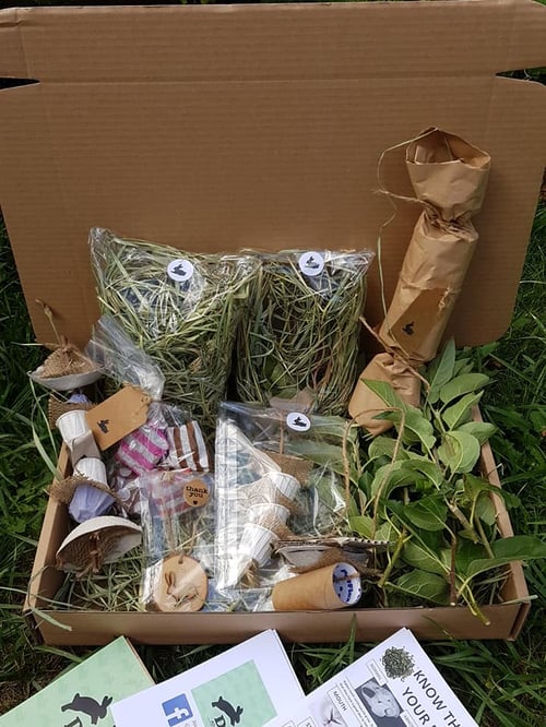 Image of Celebration Cracker