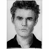 Image 2 of Stefan Salvatore