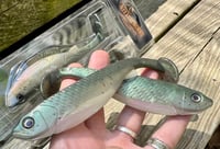 Image 2 of G6 PRO Hand Poured Swimbaits - “SWEETPEA”