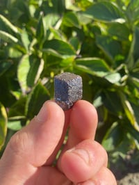 Image 1 of Galena in Red Sphalerite 