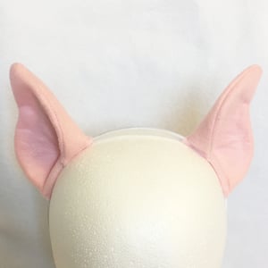 Image of Pink Pig Ears or Tail