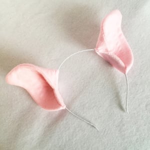 Image of Pink Pig Ears or Tail