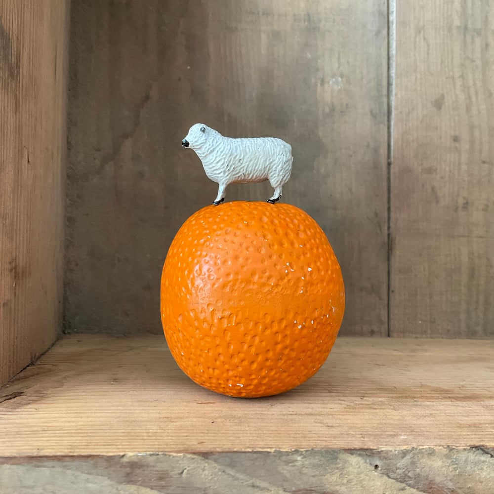 Image of Orange & Sheep