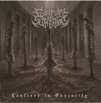 FIXATION ON SUFFERING-CONFINED IN OBSCURITY CD