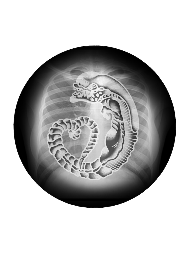 Image of Xenomorph X-Ray by PON (Button, Magnet & Sticker)
